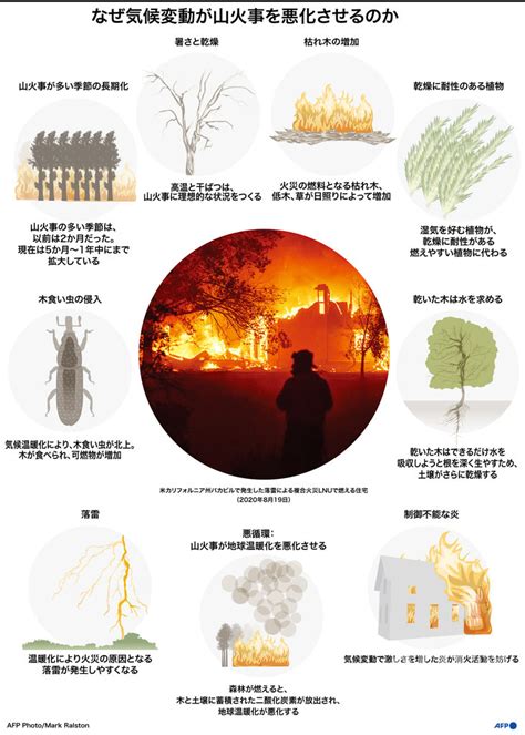 蛇山火事|山火事の原因のひとつが「蛇(ヘビ)」とききました。これは何故。